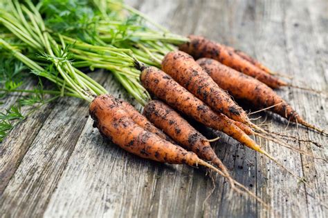 Unveiling the Anti-Aging Powers of 24 Carrot Magic